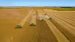Crescimento de 11&percnt; projetado para o PIB da cadeia de soja e biodiesel em 2025, aponta estudo