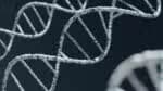 O genoma é o tópico mais frequentemente abordado no exame de biologia da Fuvest