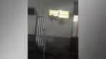 Paciente detido tenta escapar de hospital por janela