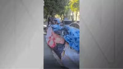 Imagem card com fundo