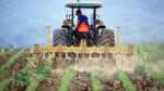 Governo de São Paulo disponibiliza linhas de crédito para financiar a aquisição de equipamentos agrícolas e sistemas de irrigação