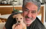 William Bonner publica foto com novo animal de estimação: “Visita do Bruce William”