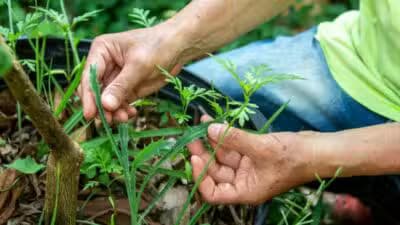 Imagem card com fundo