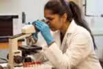 Inscrições para o Prêmio Jovem Cientista estão abertas até 31 de julho