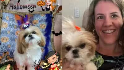 Imagem card com fundo