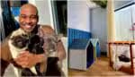 Cézar Black apresenta a decoração de sua residência, incluindo um espaço dedicado ao seu cachorro