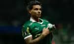 Analise a divisão dos direitos de Richard Ríos e seu impacto potencial na possível transferência para o Palmeiras