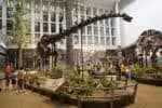 Pesquisa demonstra a alimentação de dinossauros gigantes datada de 150 milhões de anos