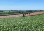 Drones no Brasil promovem o agronegócio e geram milhões