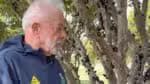 “Eu vou levar jabuticaba para você, Trump”, afirma Lula