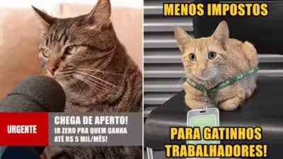 Imagem card com fundo