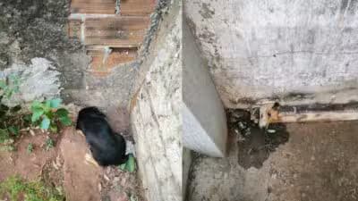 Imagem do post de destaque