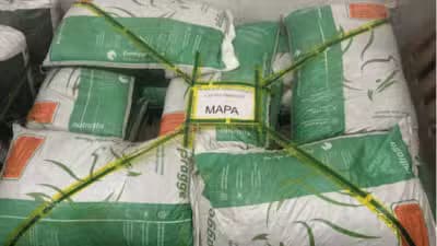 Imagem card com fundo