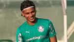 Palmeiras retorna com escolhas a serem feitas em relação ao time
