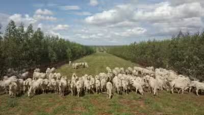 Imagem do post de destaque