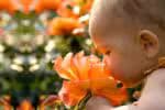 Aromaterapia para gestantes e recém-nascidos: sugestões de óleos essenciais e práticas de cuidado