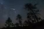 A chuva de meteoros Perseidas atinge seu ápice nesta semana; saiba mais