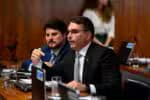Projeto propõe indenização a delegada que apreende armas irregulares, avança na Câmara Alta