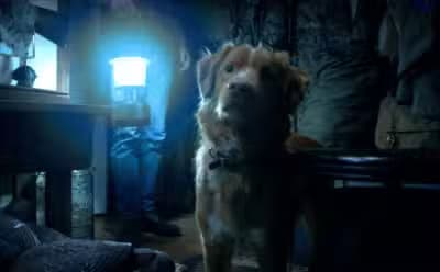 Imagem card com fundo