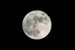 Descubra os rituais para contemplar cada fase da Lua
