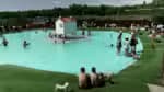 Proprietários levam cães a parques aquáticos na Espanha para escapar do calor