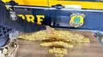 Bebê causa achado de “montanha de barras de ouro” em Mato Grosso do Norte