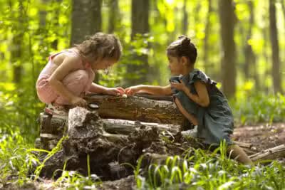 Imagem do post de destaque