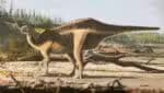 Descoberta na Inglaterra, nova espécie de dinossauro com “vela” nas costas