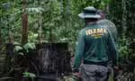 Garimpeiros atacam agentes do Ibama e policiais durante operação em território indígena