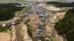 Estudo aponta que a Amazônia ainda pode evitar colapso ecológico