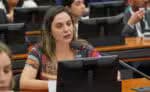Qual é o posicionamento do projeto que visa impedir a aplicação da Lei Magnitsky no Brasil?