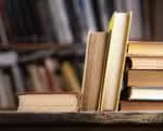 A Feira Pan-Amazônica do Livro ocorre em Belém