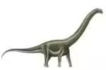 Epizódio de doença óssea extinguiu dinossauros de pescoço longo no interior do estado de SP