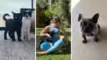Paolla Oliveira se diverte com seus animais de estimação em recentes imagens