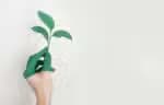 Investimentos em fundos sustentáveis aumentaram 48&percnt; em 2023, aponta estudo