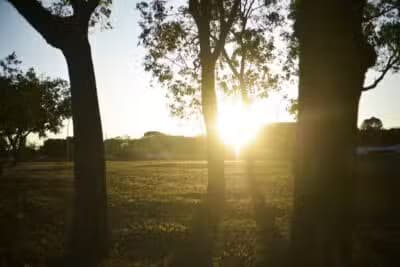 Imagem card com fundo