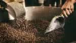 Melitta e 3corações elevam valores do café no Brasil, segundo documentos