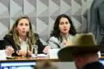 Comissão Parlamentar Mista investiga irregularidades em descontos aplicados pelo INSS, com a diretora da CGU apresentando os detalhes da apuração