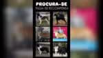 Polícia apura roubo de seis cachorros de raça em Guarulhos