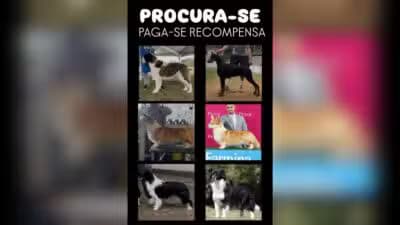 Imagem card com fundo