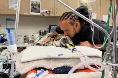 Imagem card com fundo