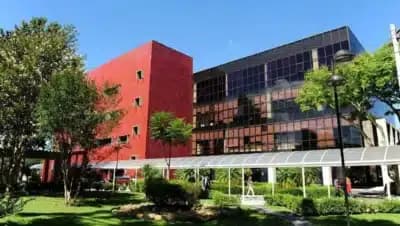 Imagem card com fundo