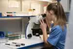 Biologia: temas mais frequentes no Exame Nacional do Ensino Superior da Unesp