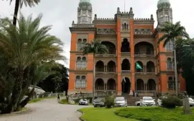 Imagem card com fundo