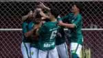 Associação Espírito Santo Clube do Espírito Santo alcança destaque em âmbito local e busca colaborações internacionais