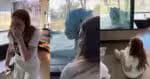 Viih Tube demonstrava emoção ao observar um tigre durante uma viagem à África