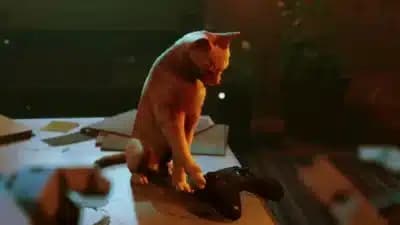 Imagem card com fundo