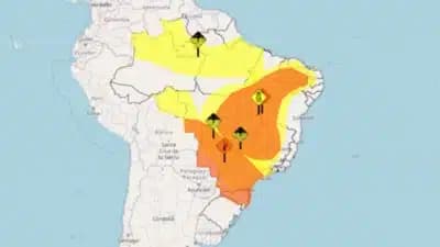 Imagem card com fundo