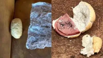 Imagem card com fundo