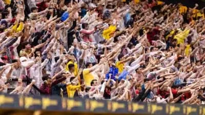 Imagem card com fundo